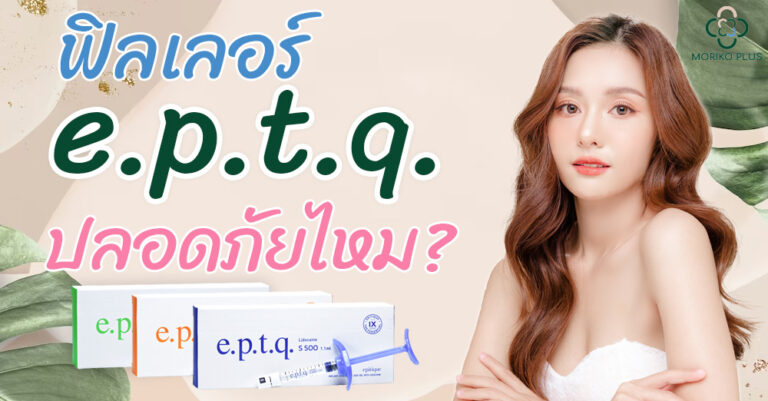 ทำไมจึงนิยม e.p.t.q. ฟิลเลอร์นำเข้าจากแดนเกาหลี