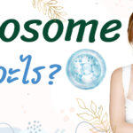 ทำความรู้จัก “Exosome ” คืออะไร สำคัญอย่างไร?