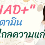 NAD+ ศาสตร์แห่งชะลอวัย คงความอ่อนเยาว์ในร่างกายให้ยาวนาน