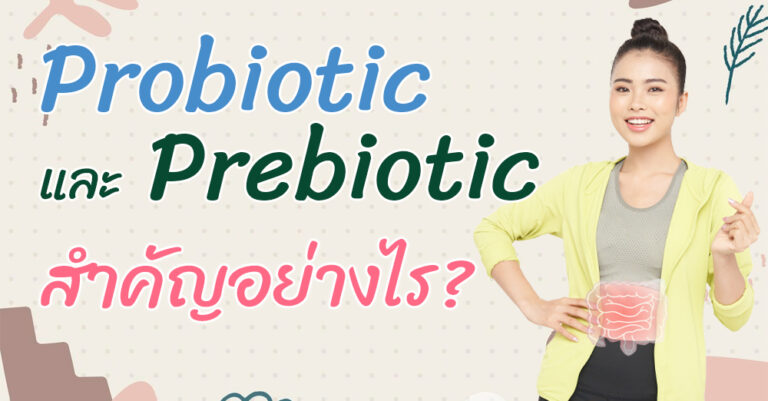 ดูแลระบบย่อยอาหาร ให้ทำงานปกติด้วย Probiotic และ Prebiotic