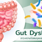 Gut Dysbiosis ภาวะความไม่สมดุลของจุลินทรีย์ในลำไส้